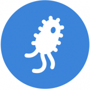 phages phages