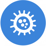 virus virus