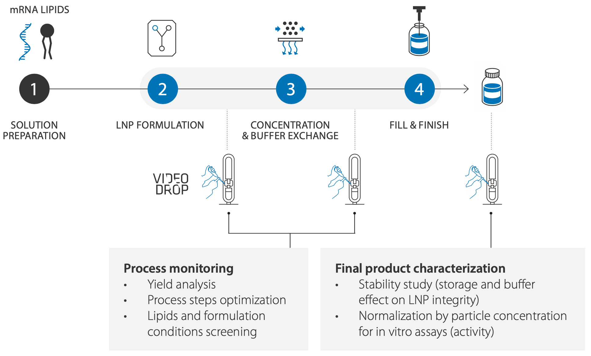 Lipid Nanoparticles (LNP) – Myriade