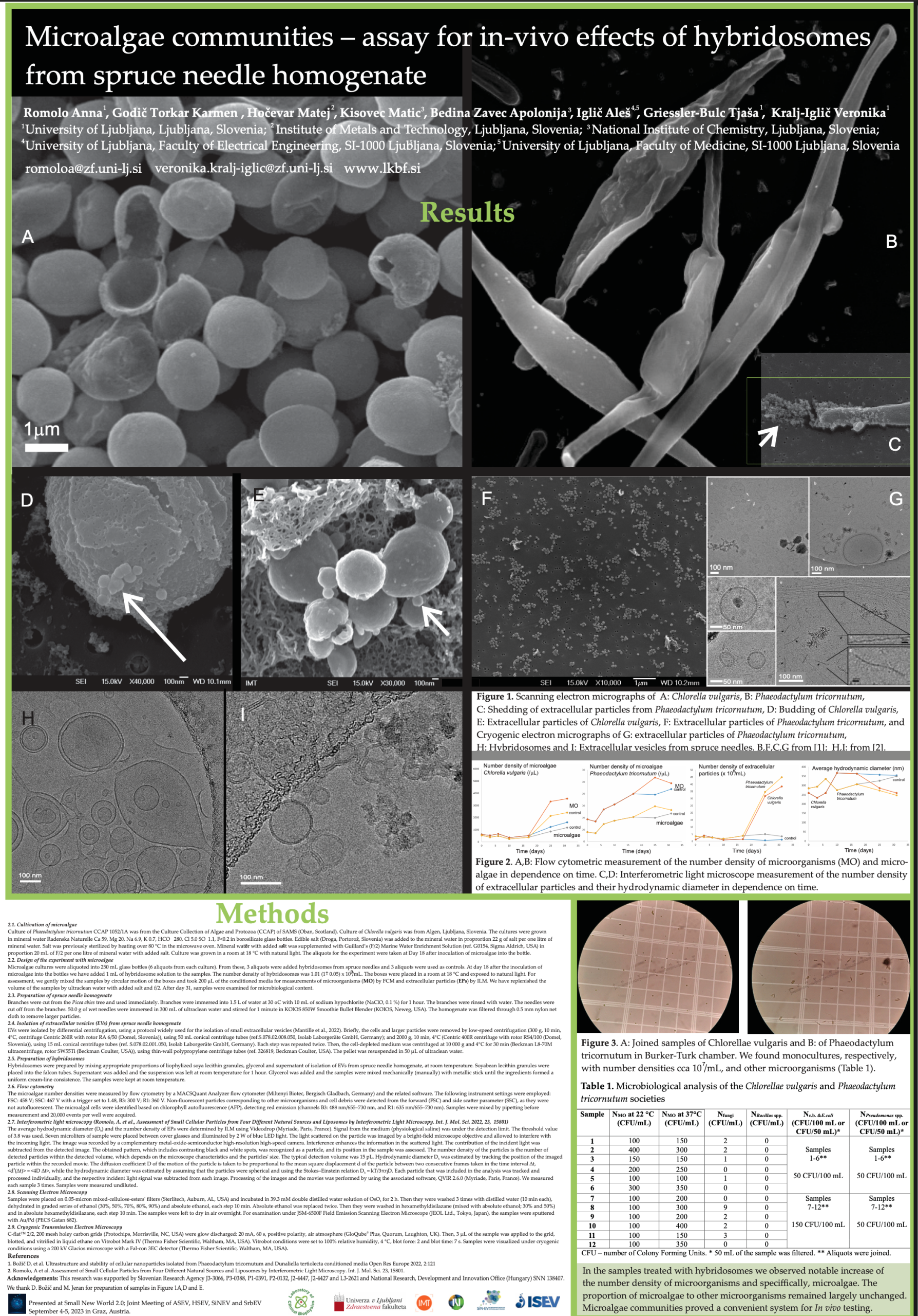 Microalgae communities – assay for in-vivo eﬀects of hybridosomes from spruce needle homogenate
