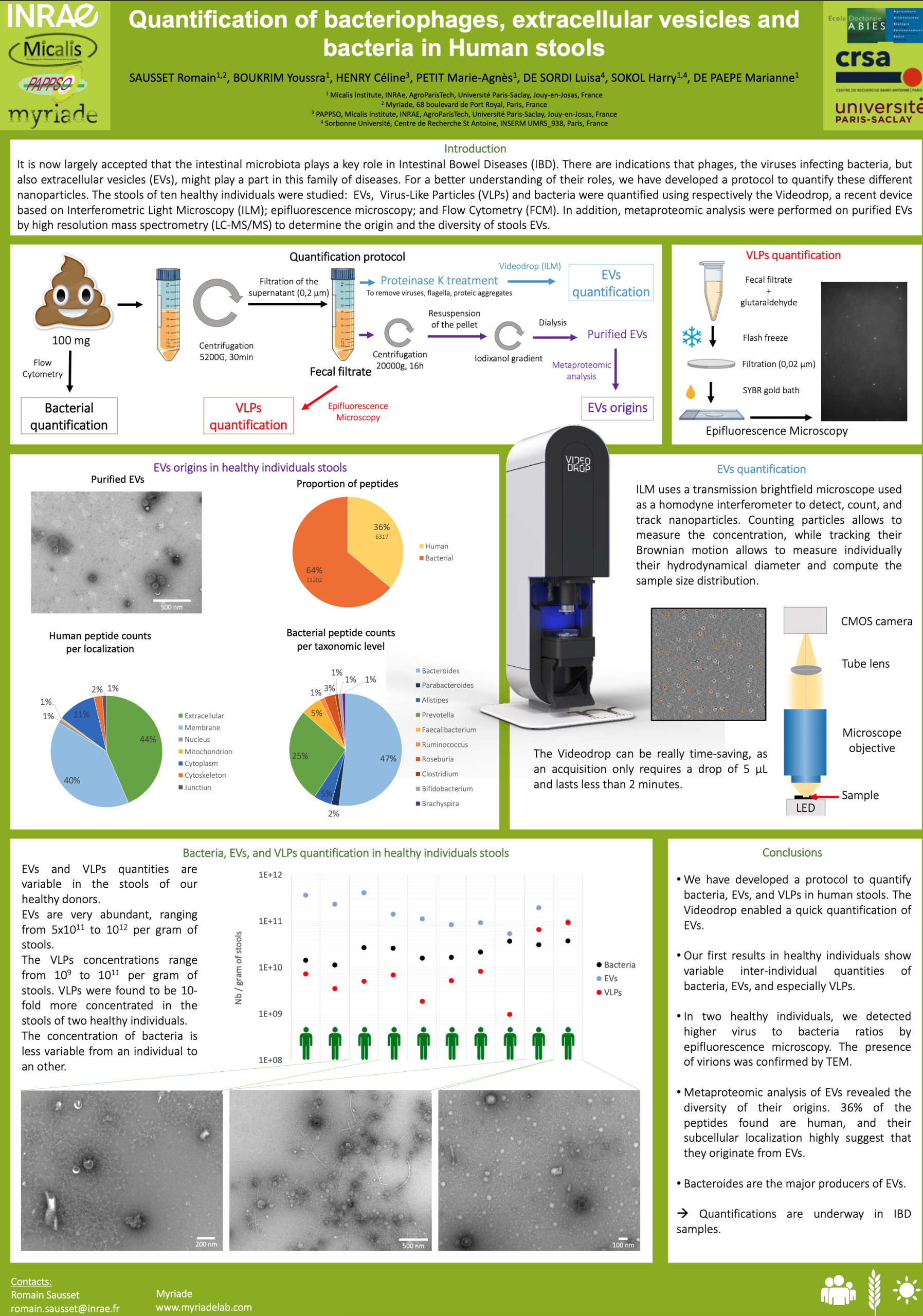 Quantification of bacteriophages, extracellular vesicles and bacteria in Human stools