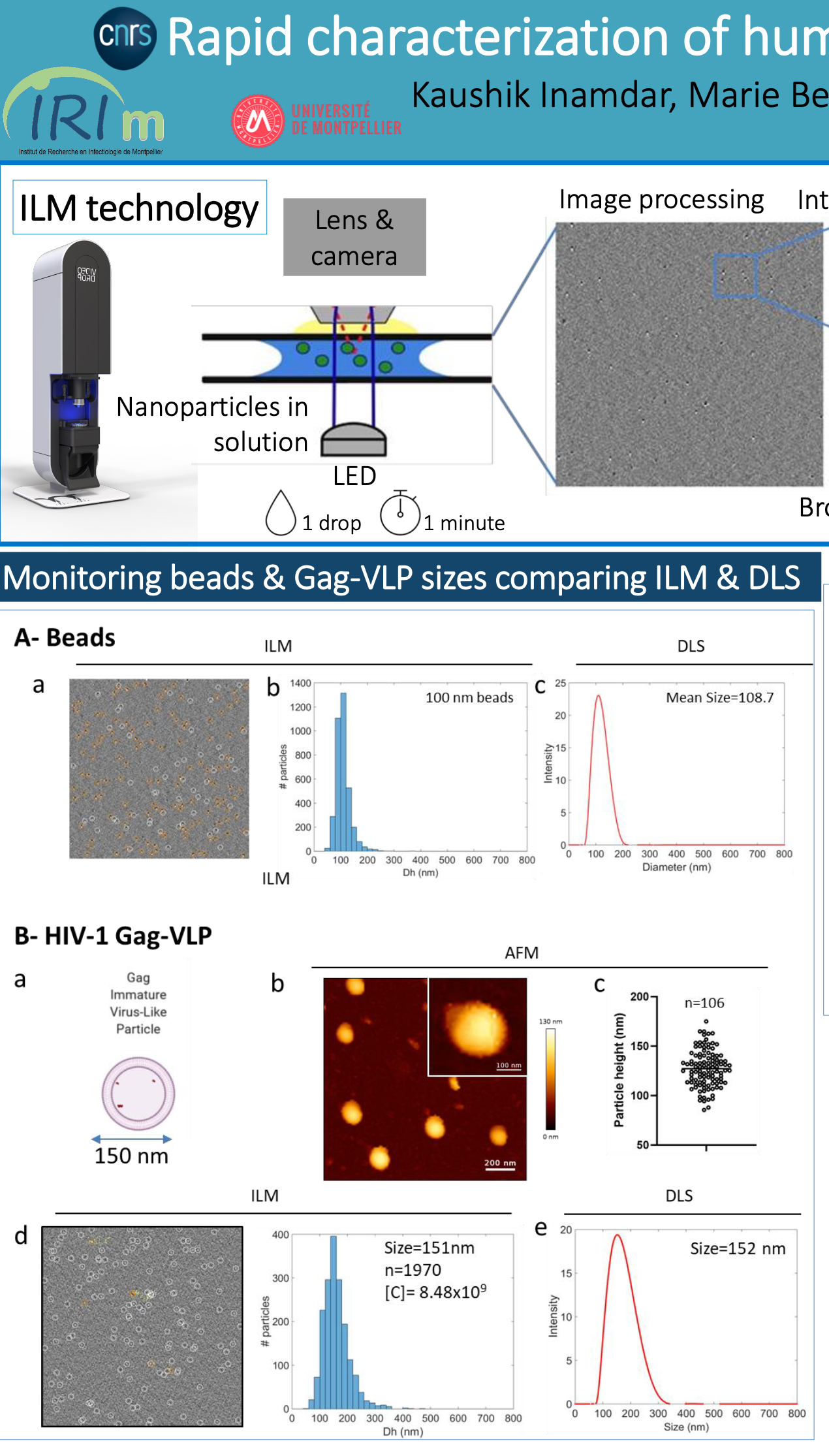 Rapid characterization of human viruses in a droplet using Interferometric Light Microscopy (ILM) in a BSL3